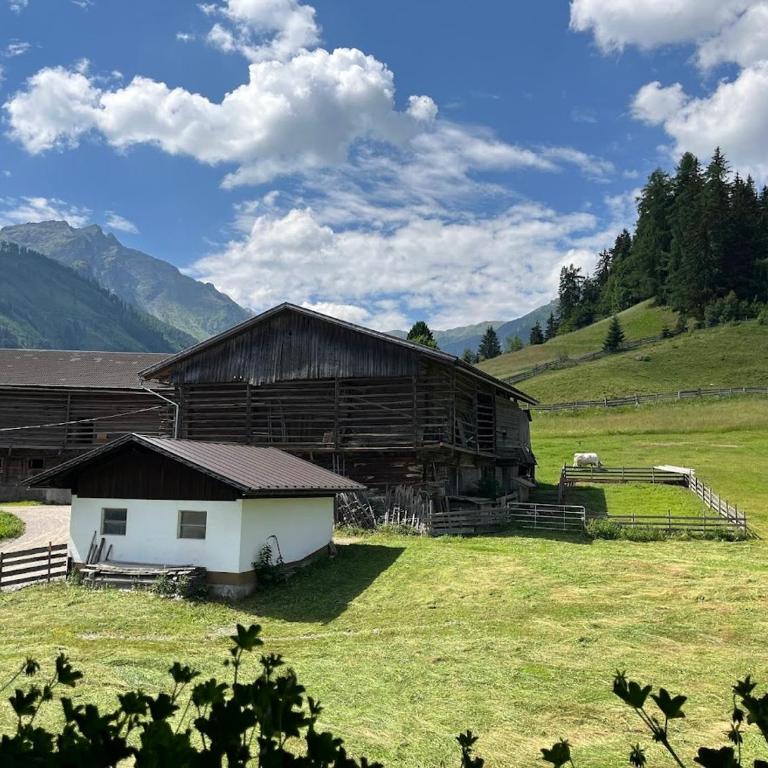 Guggenbergerhof - Apartment mit Blick auf die Berge - 1