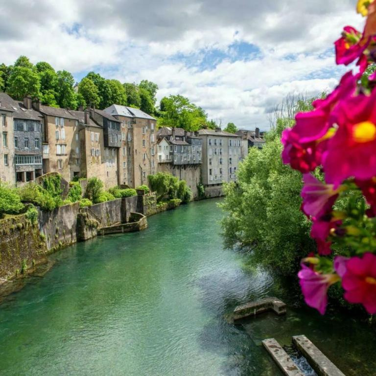 Sous les Toits de Pau T2 Cosy 4 Pers - Appartement 1 Chambre - 20