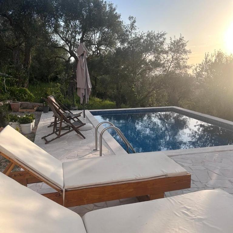 Villa Tri masline - Vila sa 3 Spavaće Sobe - 1