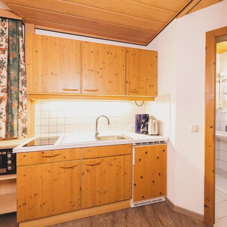 Studio Appartement Haus Voglreiter - Studio mit Bergblick - 16
