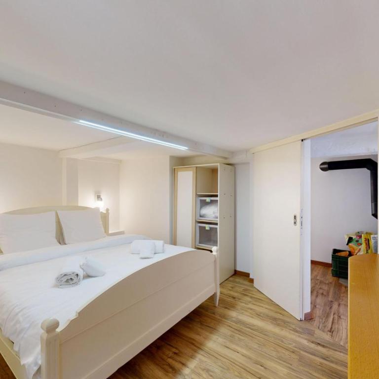 Flat in Mayoux - 4 Seasons in the Val d'Anniviers - Apartment mit 1 Schlafzimmer - 14