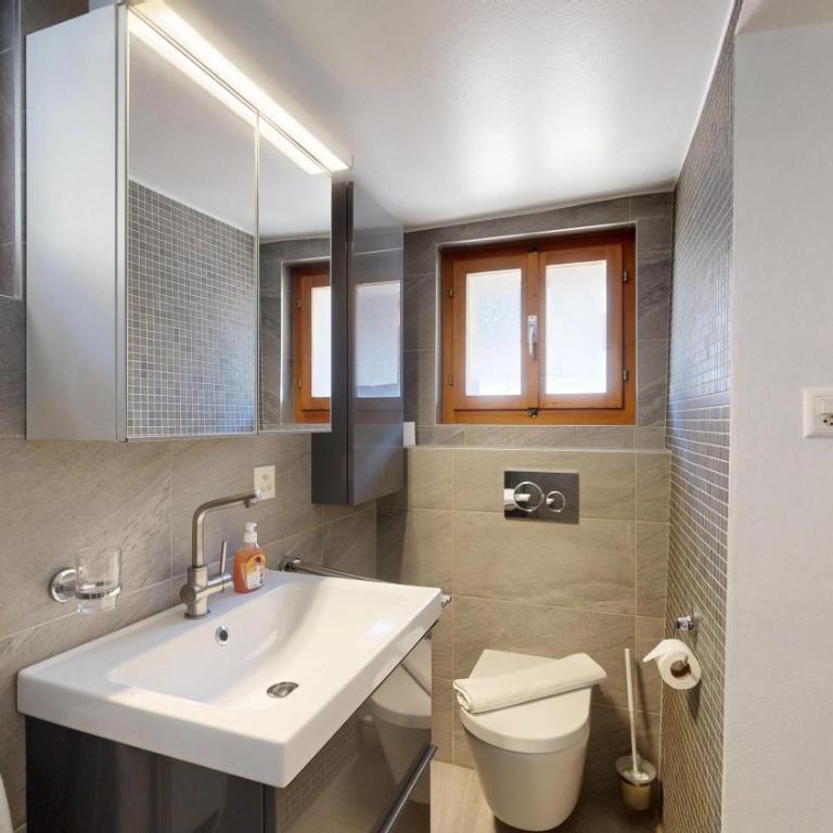 Flat in Mayoux - 4 Seasons in the Val d'Anniviers - Apartment mit 1 Schlafzimmer - 5