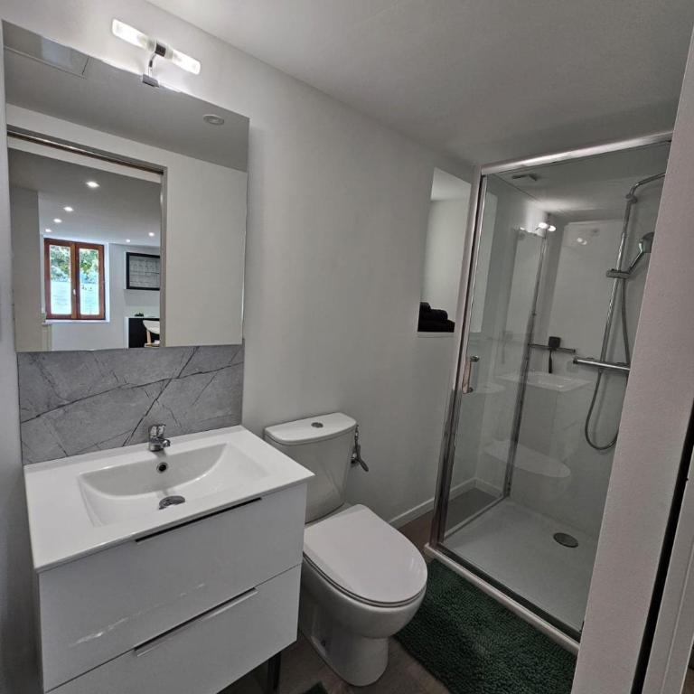 Bord de lac Plage Vue lac Leman Lac Geneva Paddle - Appartement 1 Chambre - 2