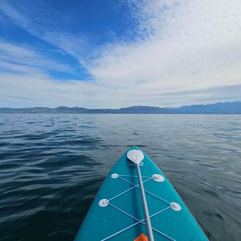 Bord de lac Plage Vue lac Leman Lac Geneva Paddle - Appartement 1 Chambre - 4