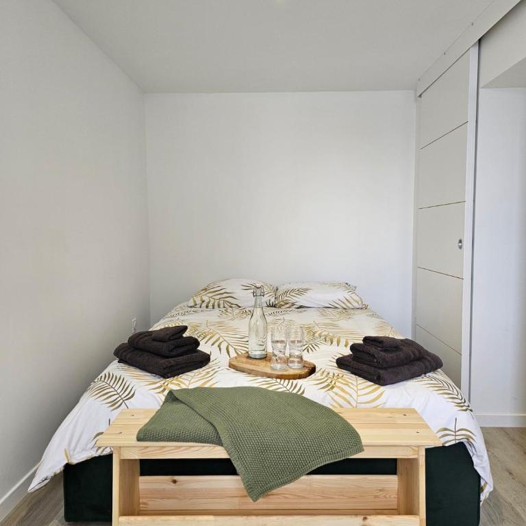 Bord de lac Plage Vue lac Leman Lac Geneva Paddle - Appartement 1 Chambre - 5
