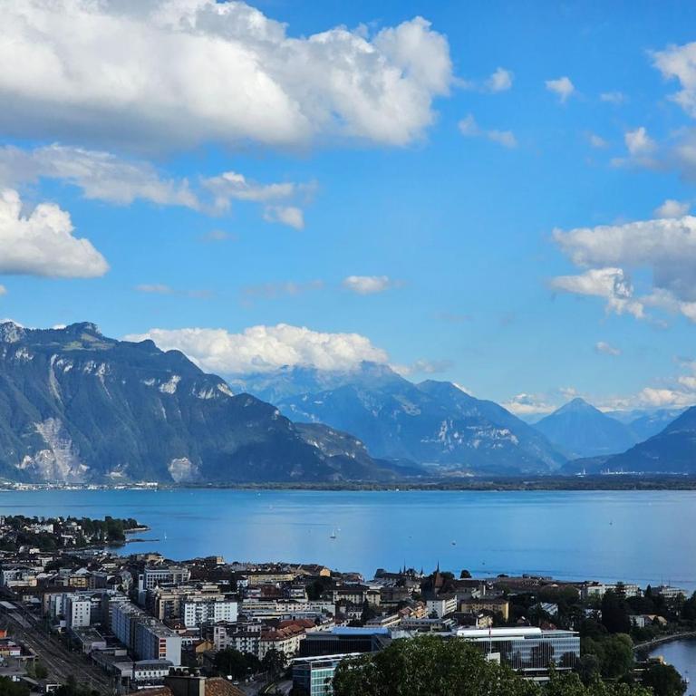 Bord de lac Plage Vue lac Leman Lac Geneva Paddle - Appartement 1 Chambre - 12