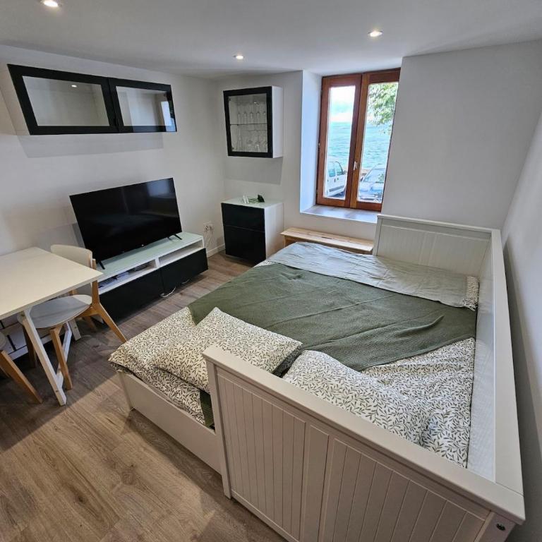 Bord de lac Plage Vue lac Leman Lac Geneva Paddle - Appartement 1 Chambre - 13