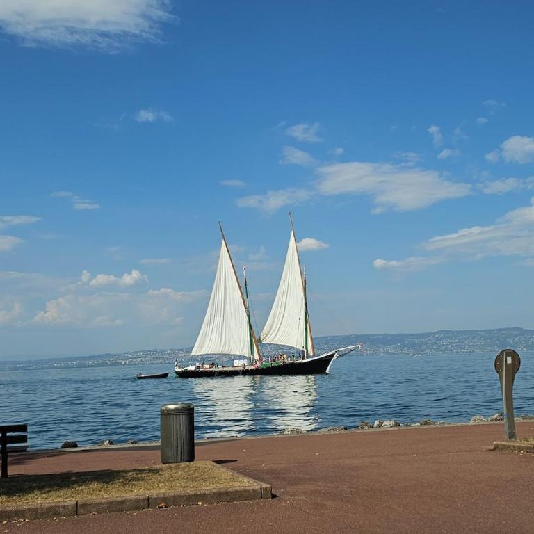 Bord de lac Plage Vue lac Leman Lac Geneva Paddle - Appartement 1 Chambre - 15