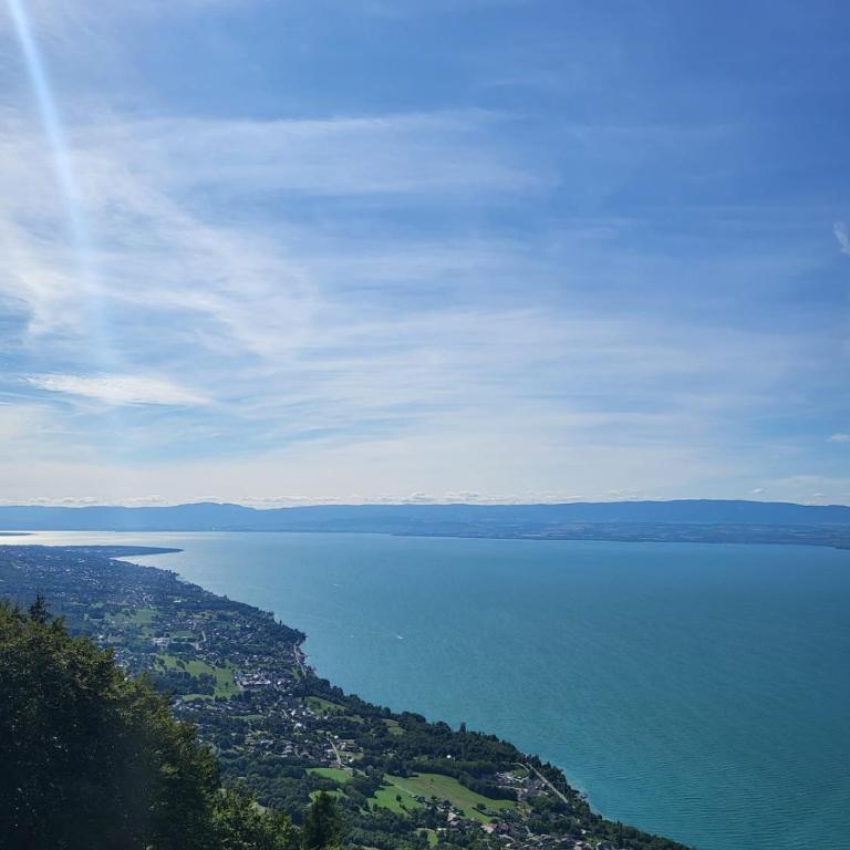 Bord de lac Plage Vue lac Leman Lac Geneva Paddle - Appartement 1 Chambre - 25