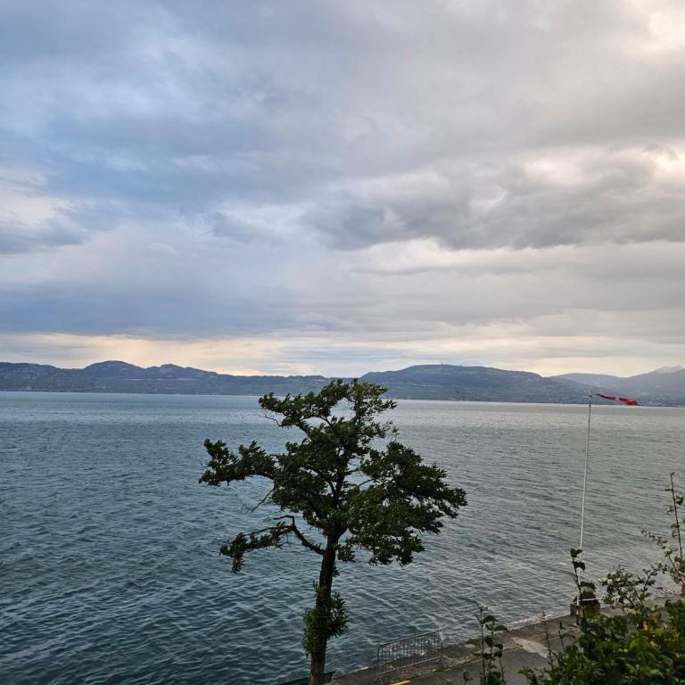 Bord de lac Plage Vue lac Leman Lac Geneva Paddle - Appartement 1 Chambre - 31