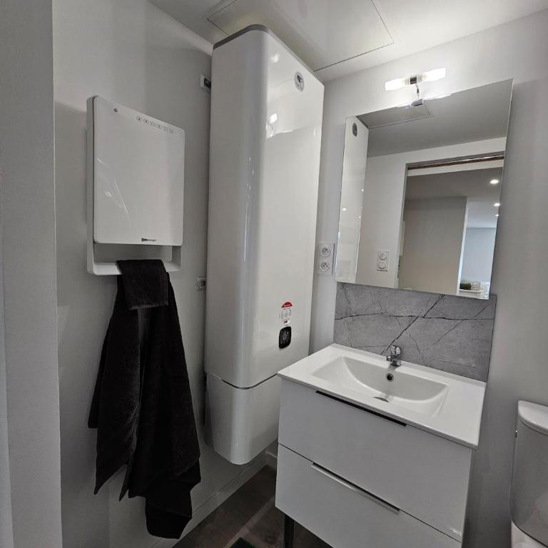Bord de lac Plage Vue lac Leman Lac Geneva Paddle - Appartement 1 Chambre - 32