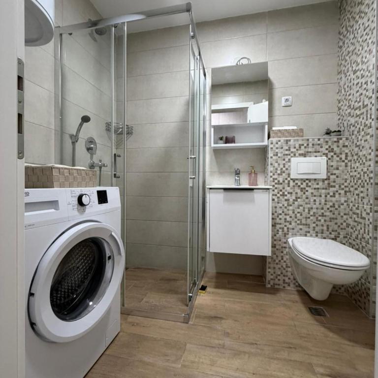 Vasiljević Apartmani Koviljača - Apartman sa 1 Spavaćom Sobom - 9
