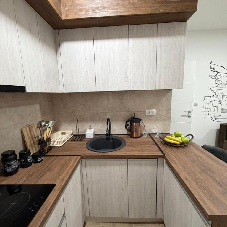 Vasiljević Apartmani Koviljača - Apartman sa 1 Spavaćom Sobom - 10