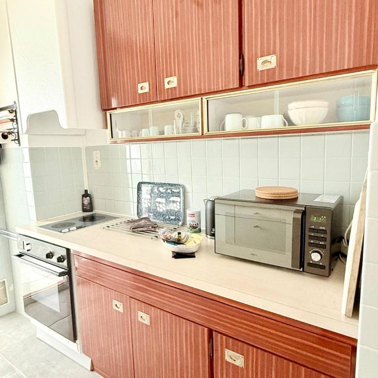 Le serena Vue mer et Garage - Appartement - 11