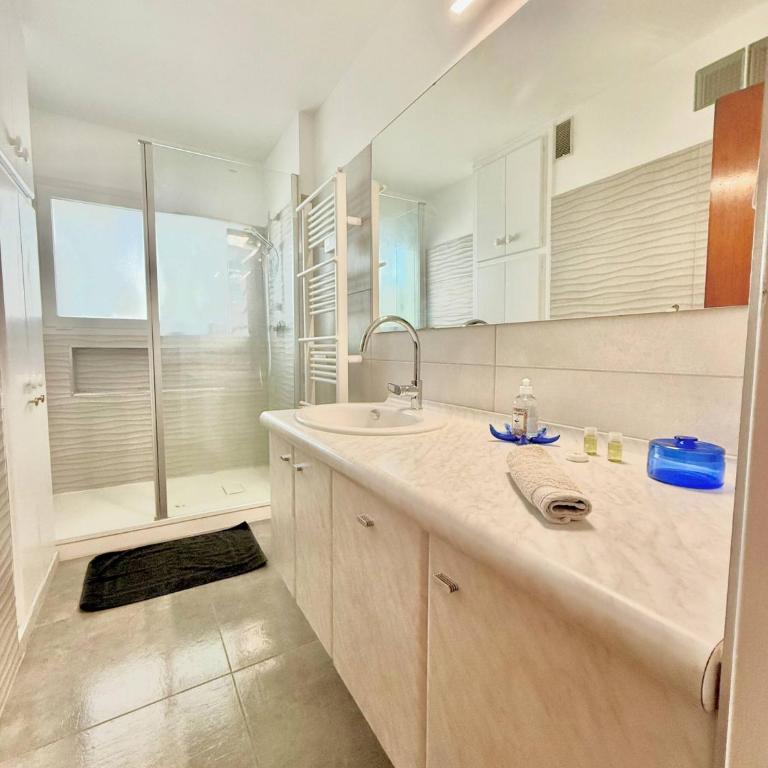 Le serena Vue mer et Garage - Appartement - 18