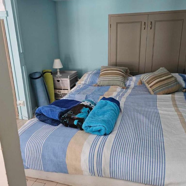 Studio in a 19th century villa with parking - Appartement - 10