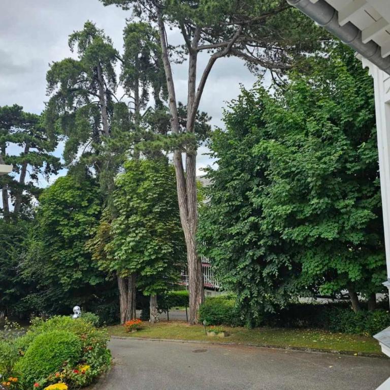 Studio in a 19th century villa with parking - Appartement - 14