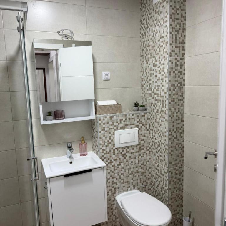 Vasiljević Apartmani Koviljača 1 - Apartman sa 1 Spavaćom Sobom - 2