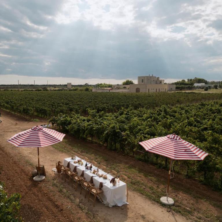 Masseria Pezze d'Arena- Villa by Puglia Classics - Villa - 5
