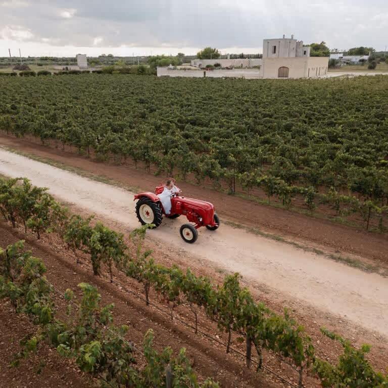 Masseria Pezze d'Arena- Villa by Puglia Classics - Villa - 17