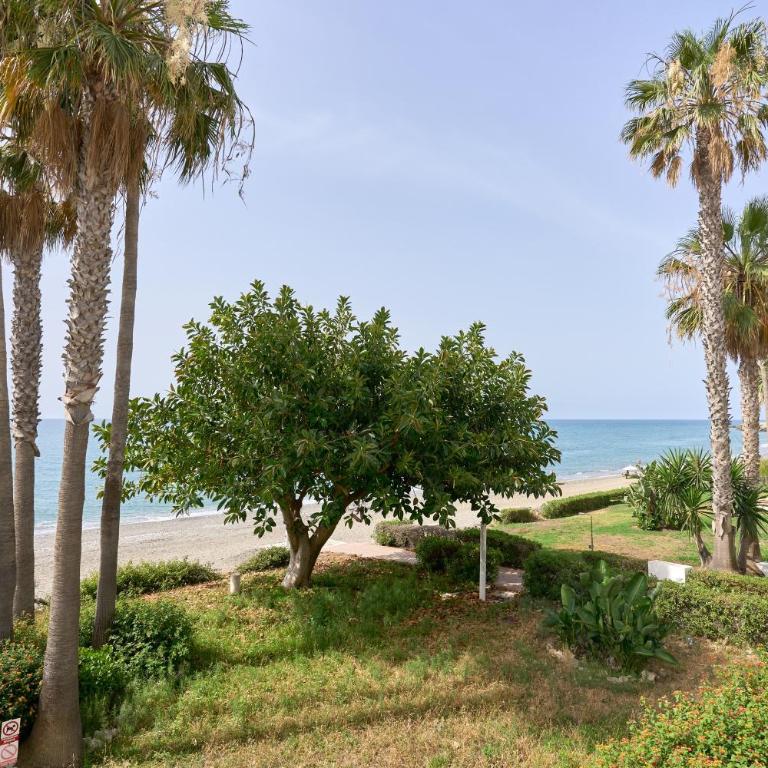 Apartamento Maria - Casa de 2 dormitorios - 26