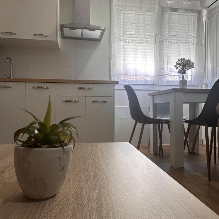 Apartamento Mar de Levante Tarifa con aire acondicionado y parking privado - Apartamento de 1 dormitorio - 5