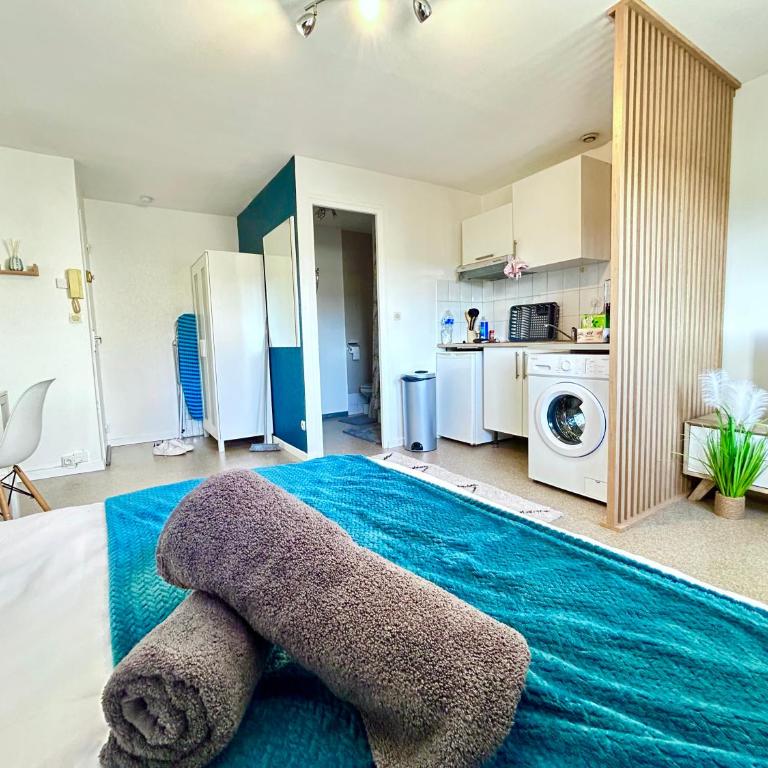 L'Azur des Trois Maisons-Nancy Centre - Apartment mit 1 Schlafzimmer - 20