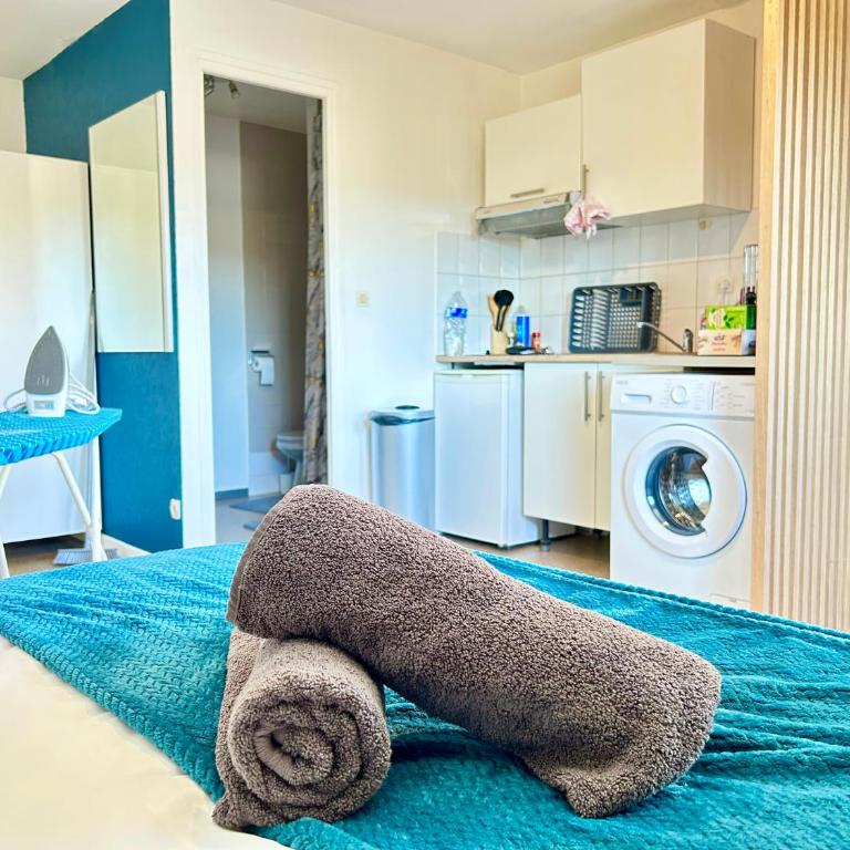 L'Azur des Trois Maisons-Nancy Centre - Apartment mit 1 Schlafzimmer - 25