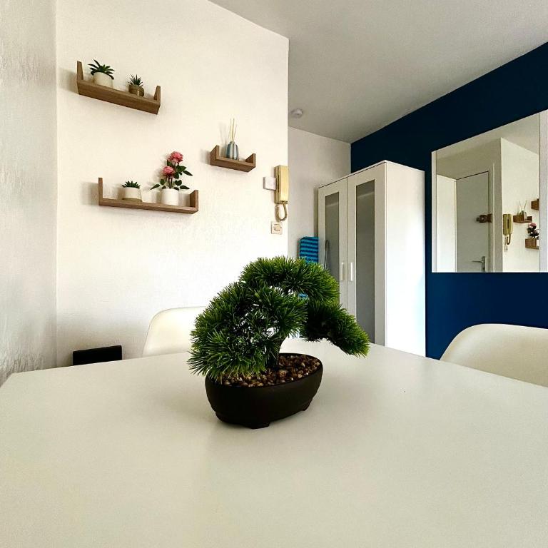 L'Azur des Trois Maisons-Nancy Centre - Apartment mit 1 Schlafzimmer - 23