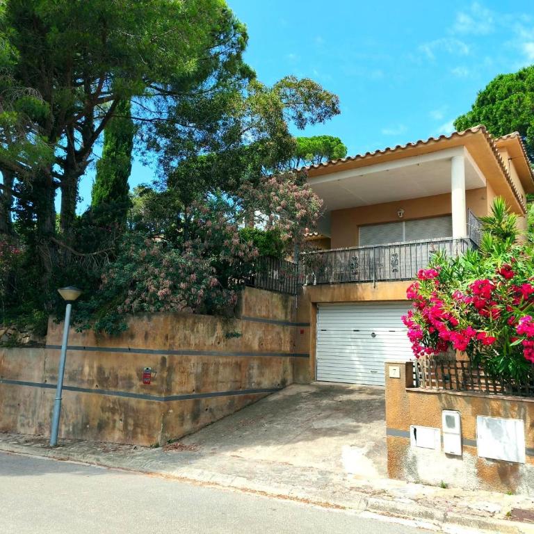 Casa Mimosa - Casa - 23