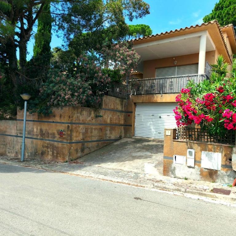 Casa Mimosa - Casa - 24