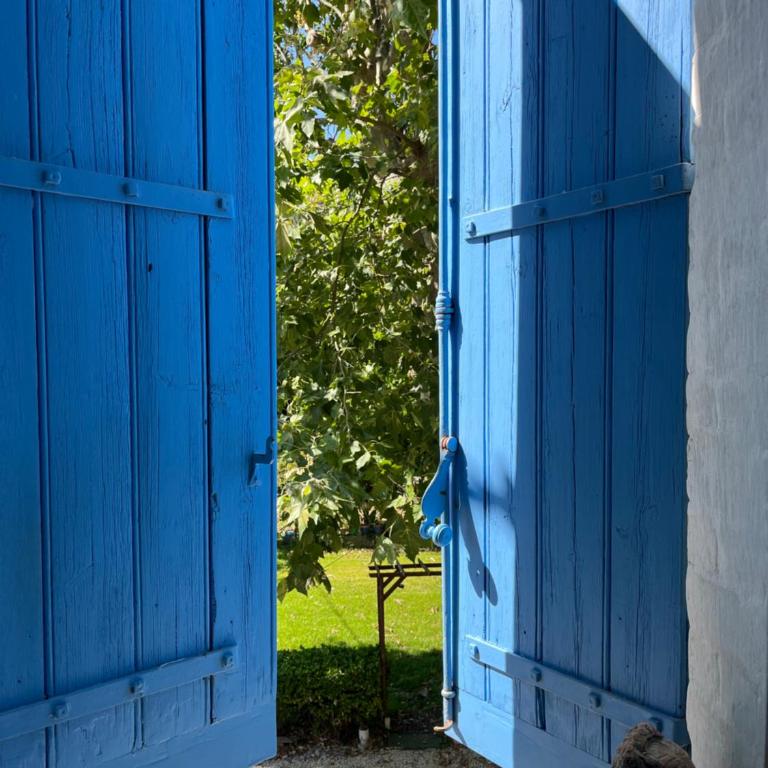 Notre campagne provençale - Chambre Double Standard avec Salle de Bains Commune - 6