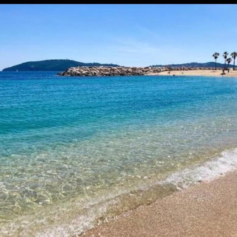 Appartement Mourillon proche de la mer - Apartment mit 1 Schlafzimmer - 5