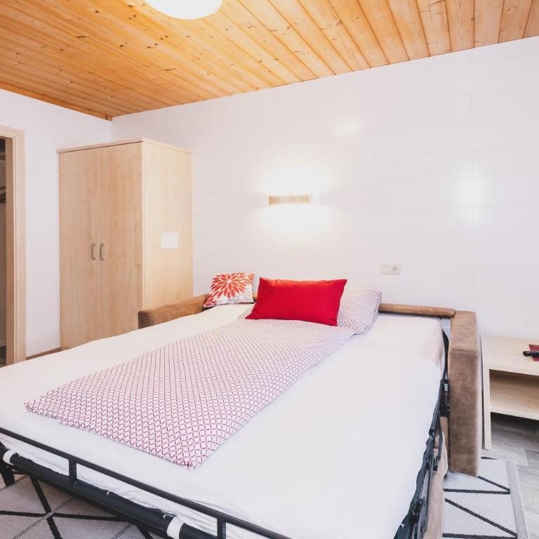 Haus Voglreiter - inkl Sommerkarte, zentrale und ruhige Lage, Garten mit Spielplatz - Apartment mit 1 Schlafzimmer, Balkon und Bergblick - 24