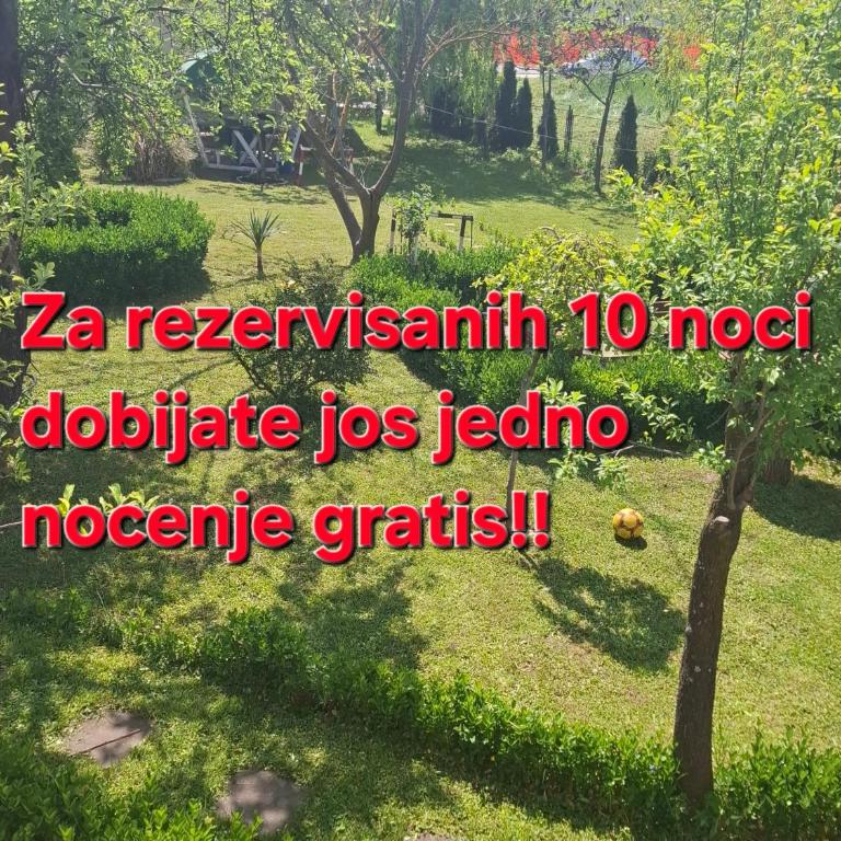 Dusica - Apartman sa 1 Spavaćom Sobom - 7