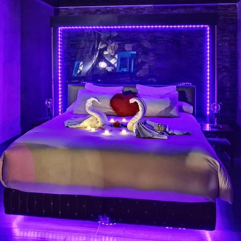 Suite avec Jacuzzi - Clim - Terrasse - Wi-Fi - Suite - 4