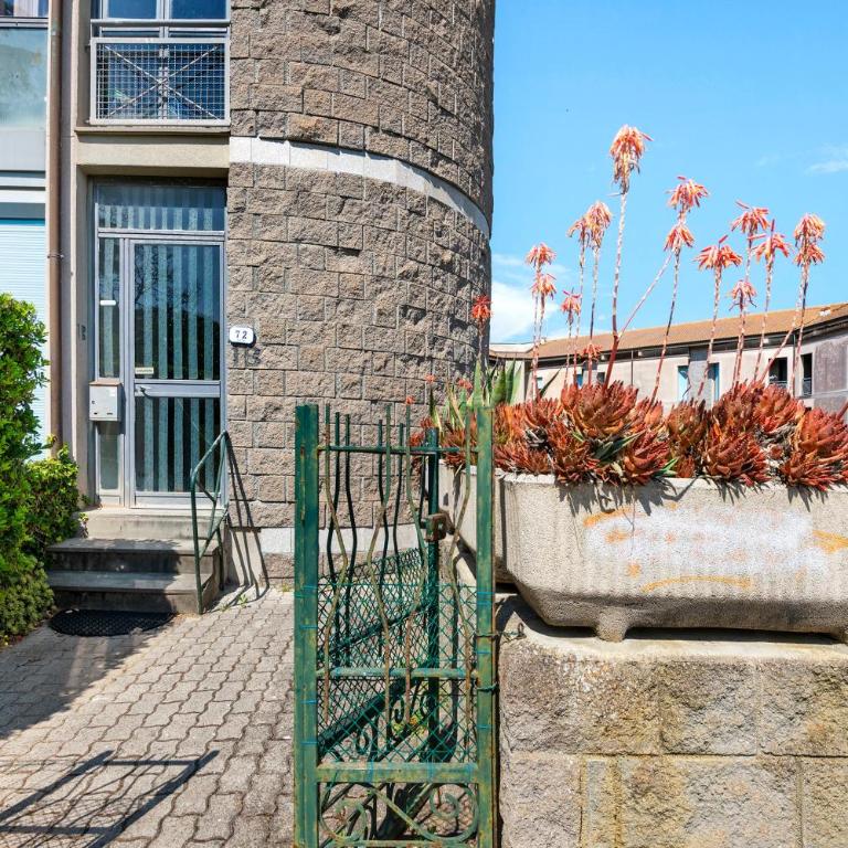 Casa Violina - Portoferraio - Casa con 2 Camere da Letto - 24