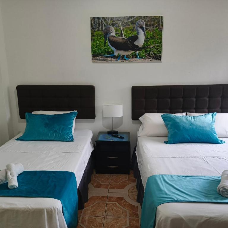 Teresita's House - Suites con cocina privada - Apartamento - 6