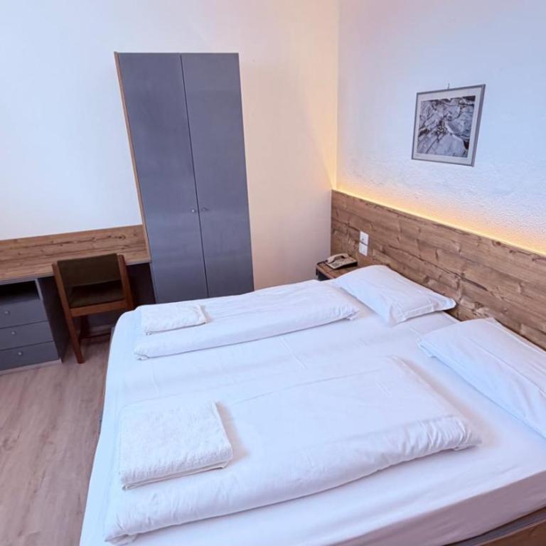 Hotel Regina Delle Dolomiti - Camera Economy Matrimoniale/Doppia con Letti Singoli - 3