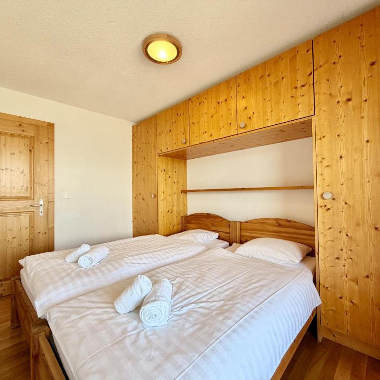 Plein Ciel VA 021 MOUNTAIN apartment 8 pers - Appartamento con Balcone - 18