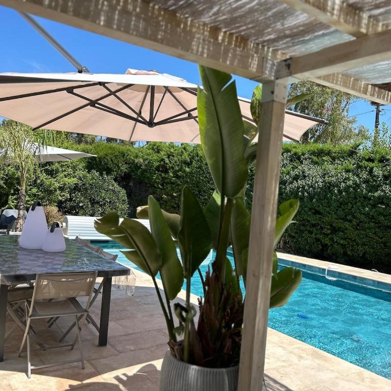 La Villa Eucalyptus, Swimming Pool & Riviera Garden - Villa - 2