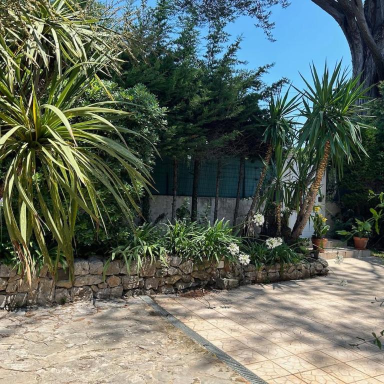 La Villa Eucalyptus, Swimming Pool & Riviera Garden - Villa - 17