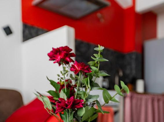 Ciotat Cherry - au coeur de La Ciotat à 2 pas du port - Apartment mit 1 Schlafzimmer - 9