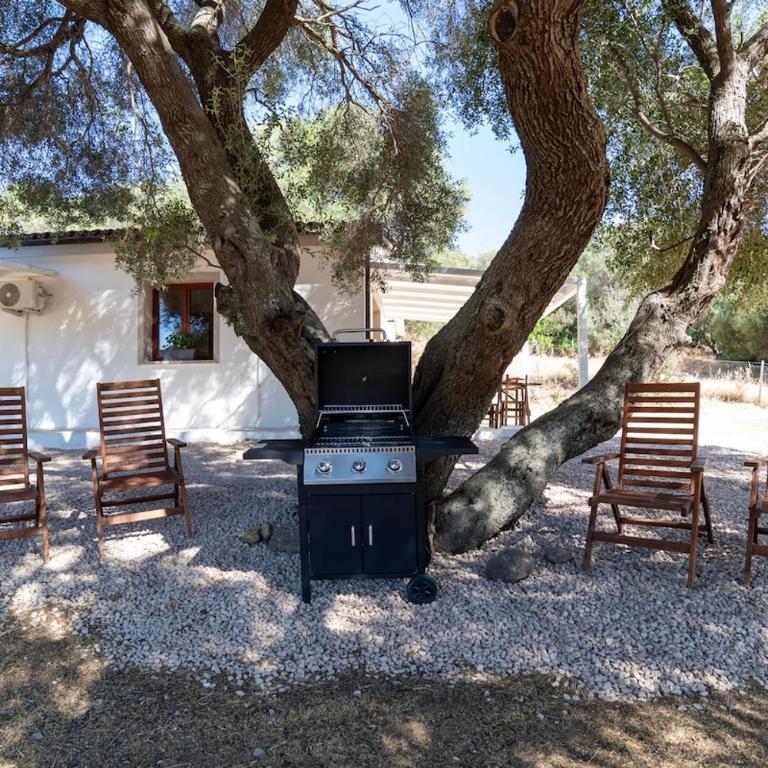 Agriturismo Gli Antichi Olivastri Casa Lavanda - Appartamento con 1 Camera da Letto - 8