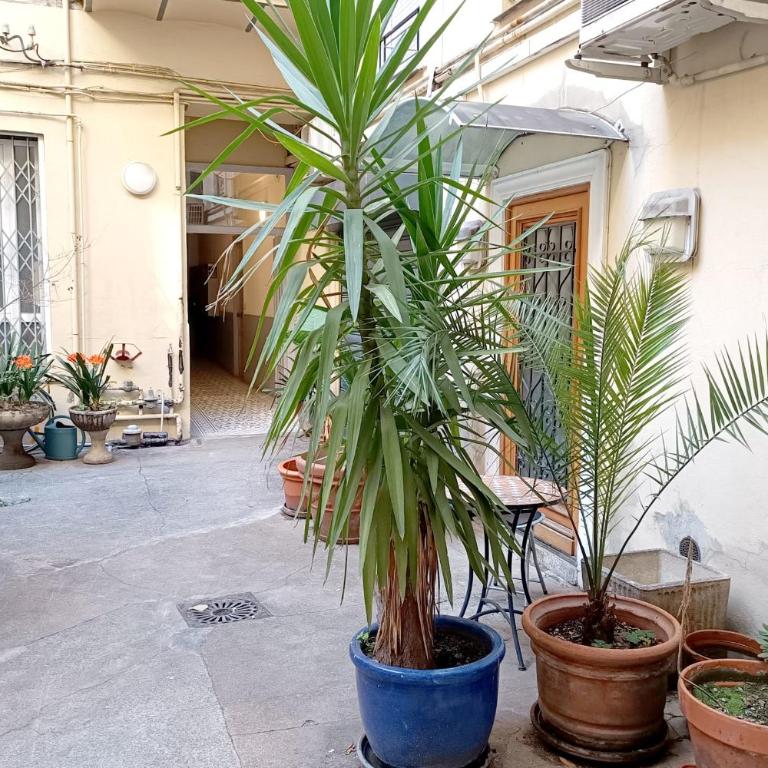 Bright and quiet studio in Nice - Studio - 9