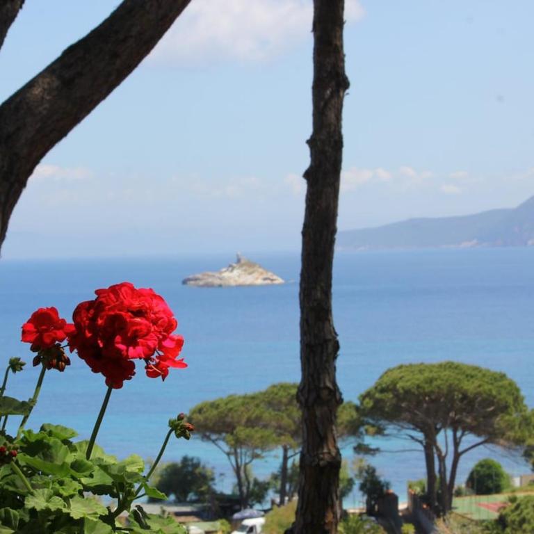 Appartamento Scirocco vista mare a meno di 100 mt dalla spiaggia - Casa con 1 Camera da Letto - 7