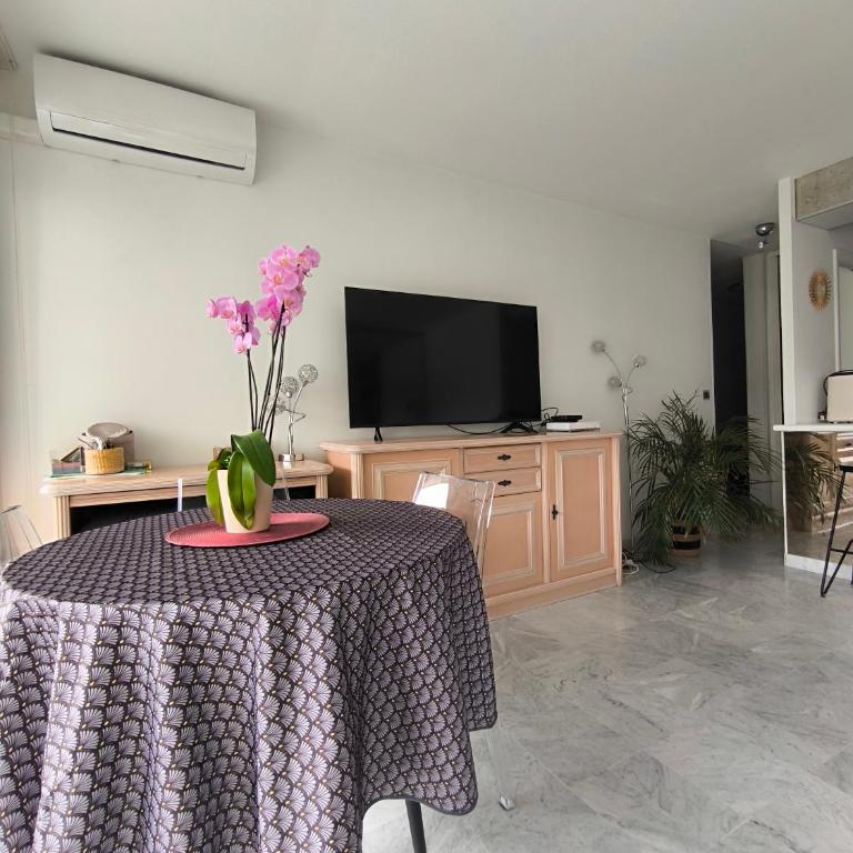 SELI 2 pièces CLIMATISÉ CLASSÉ 52 M2 terrasse 20m2 PLAGES PISCINE ANTIBES avec PARKING PRIVATIF - One-Bedroom Apartment - 15