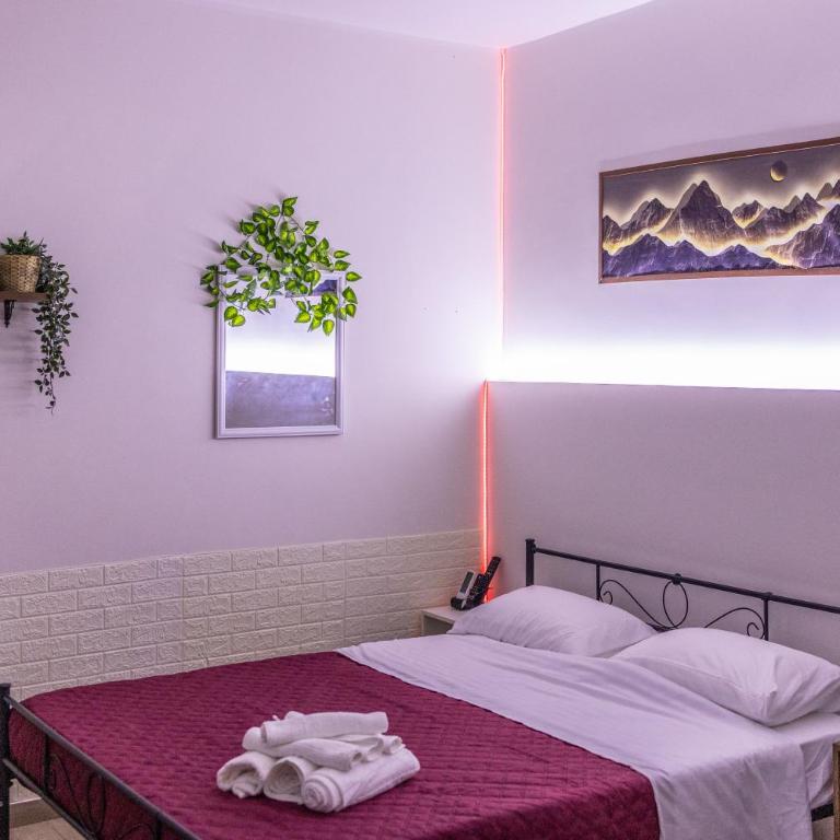 Braccia-House - One-Bedroom Apartment - 9