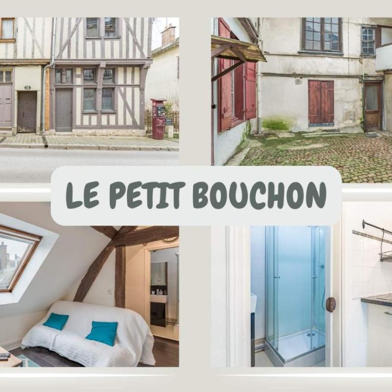 Le Petit Bouchon - Studio - Hypercentre - Studio - 2