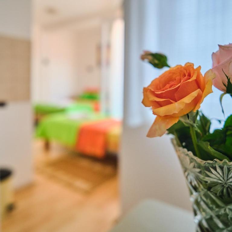 Vila Natalija - Studio mit Terrasse - 23